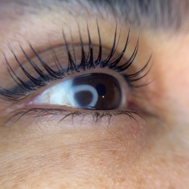 Korean lash lift at Vida Beauty Artistry in Fort Worth, TX